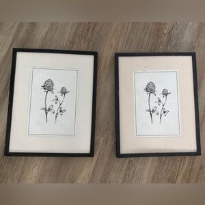 Black Framed Botanical Art Prints
